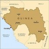 GUINEA Offices GUINEA Offices